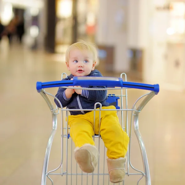 Alışveriş sepeti içinde oturan küçük çocuk — Stok fotoğraf