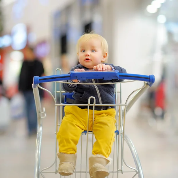 Liten pojke i kundvagnen — Stockfoto