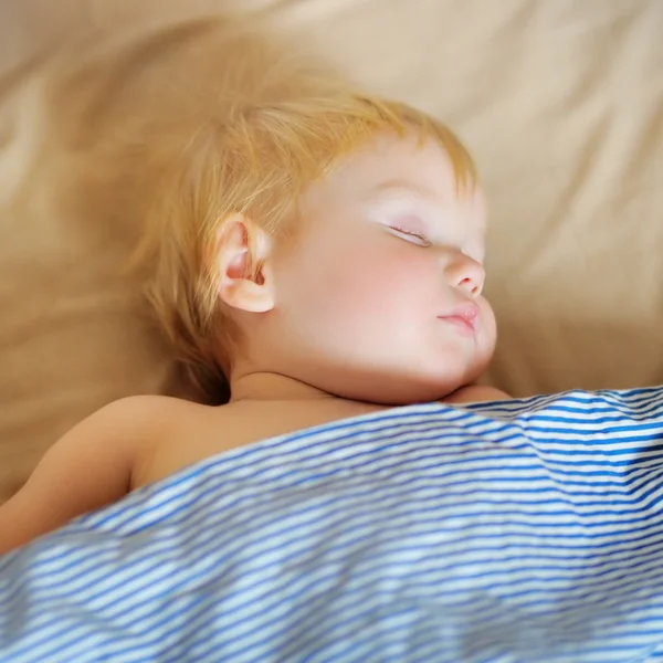 Småbarn pojken sover — Stockfoto