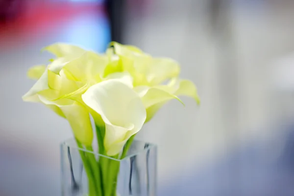 Buquê de flores bonitas — Fotografia de Stock