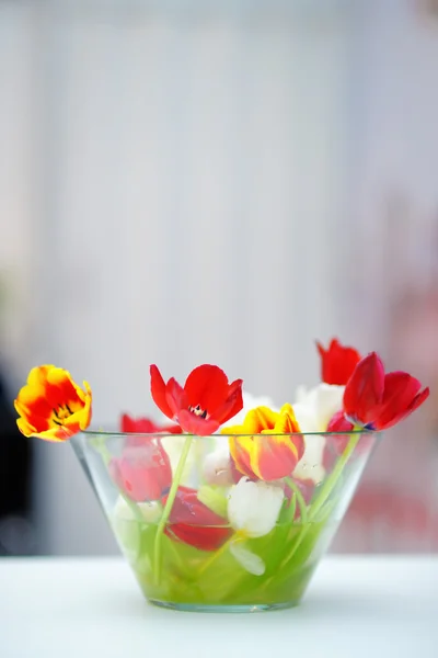 Heldere rode en oranje tulp boeket — Stockfoto