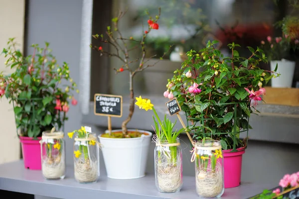 Bunte Blumen auf Outdoor-Blumenladen verkauft — Stockfoto