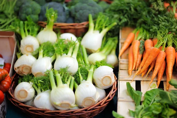 Finocchio biologico sano e fresco e carote — Foto Stock