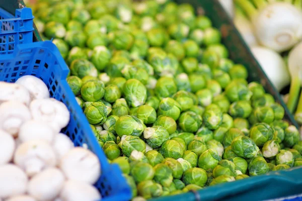 Fresh bio brussels sprout and fungus on farmer market — Stock Photo, Image