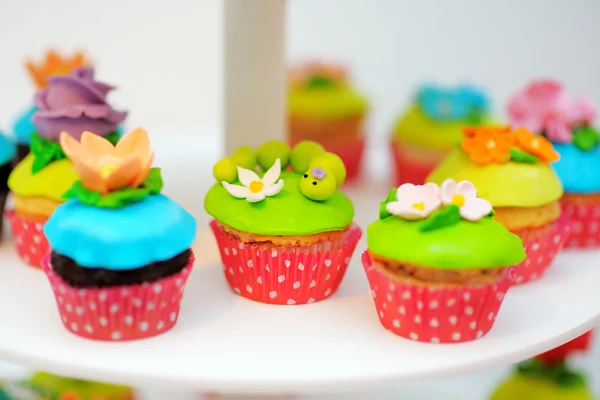Αστείες και πολύχρωμο cupcakes — Φωτογραφία Αρχείου