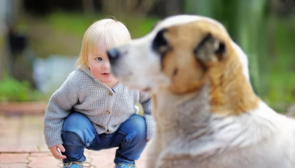 Kleinkind spielt mit Hund — Stockfoto