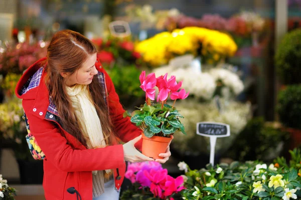 Mujer joven seleccionando flores frescas —  Fotos de Stock