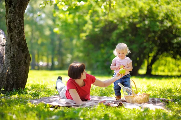 Beautiful middle aged woman and her little grandson having a picnic — Stock Photo, Image