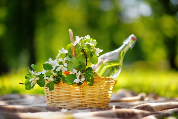 Piknik kosár, virág — Stock Fotó