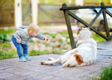 Büyük köpekle oynamayı yürümeye başlayan çocuk  