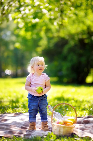Toddler boy in sunny park — Stock Photo, Image