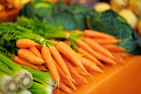 Fräsch hälsosam bio fänkål och morötter — Stockfoto