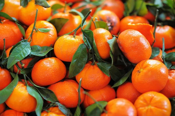 新鲜的健康生物橘 — 图库照片