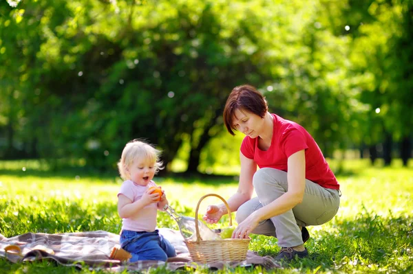 Woman and her little grandson having a picnic in park — Stock Photo, Image