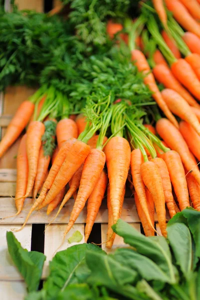 Carote e insalata sul mercato agricolo degli agricoltori — Foto Stock