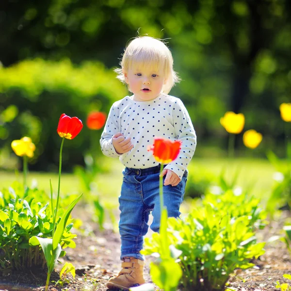 庭を歩いている幼児少年 — ストック写真