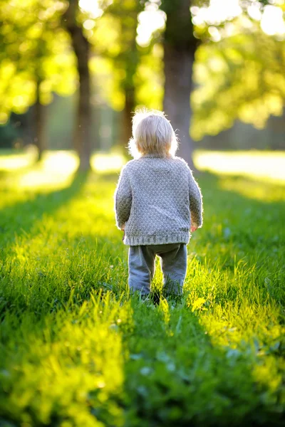 Toddler in the park — Stock Photo, Image