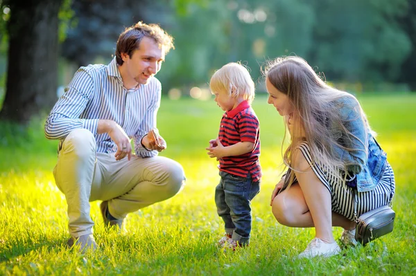 Gelukkige jonge familie van de drie in het zonnige park — Stockfoto