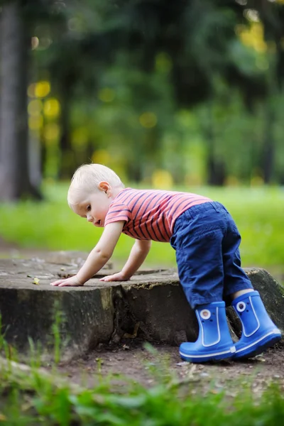 Toddler playing outdoors — Stock Photo, Image