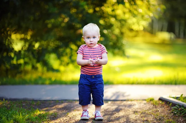 Малыш Тоддлер прогуливается по парку — стоковое фото