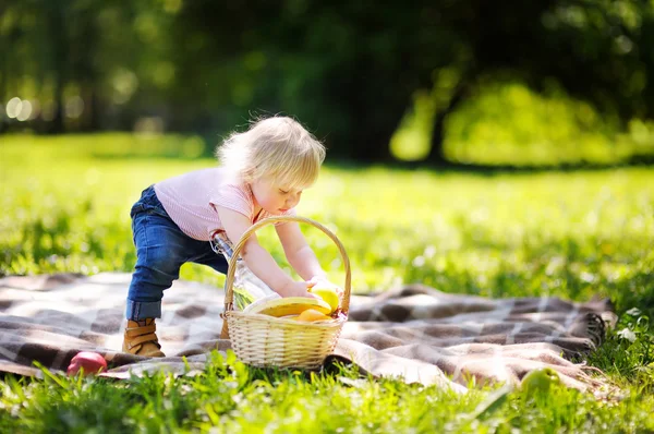 Niño pequeño haciendo un picnic — Foto de Stock