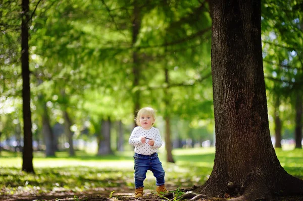 Хлопчик Тоддлер ходить у парку — стокове фото