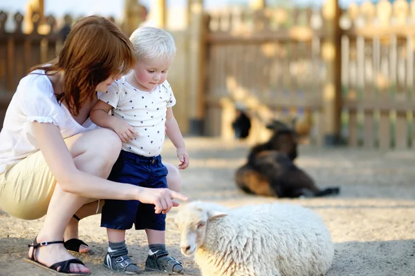 Niño pequeño y su madre mirando ovejas — Foto de Stock