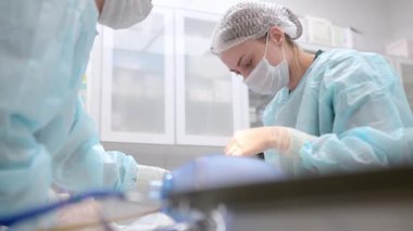 Veterinerler bir veteriner kliniğindeki ameliyathanede küçük bir kediyi ameliyat ediyorlar. Tedavi sırasında yaralanma ya da ameliyat için veterinerler. Hayvanlar için anestezi ve ağrı kesici