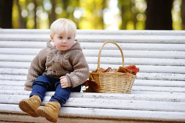 Toddler chłopiec w parku jesień — Zdjęcie stockowe