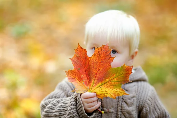 Peuter plezier in de herfst, focus op blad — Stockfoto