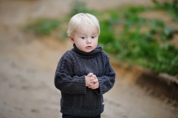 Piękne toddler chłopiec — Zdjęcie stockowe
