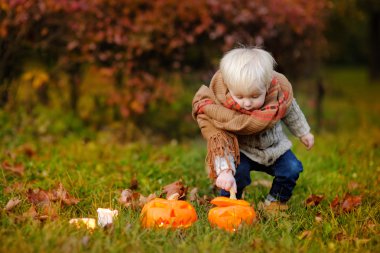 Jack-o-lantern ile oynarken yürümeye başlayan çocuk