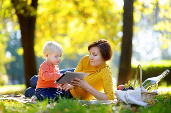 Mooie vrouw en haar kleine kleinzoon hebben een picknick in het park — Stockfoto