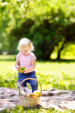 Güneşli Parkta piknik yürümeye başlayan çocuk