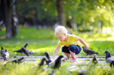 Parkta yürüyüş ve güvercin besleme yürümeye başlayan çocuk
