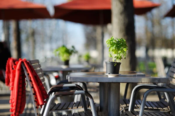Acogedor café al aire libre —  Fotos de Stock