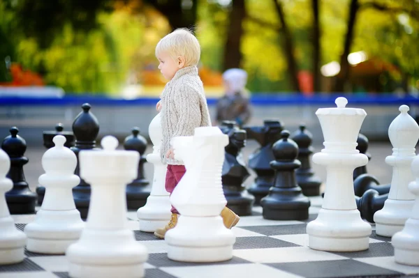 2.900+ Giant Chess fotos de stock, imagens e fotos royalty-free - iStock