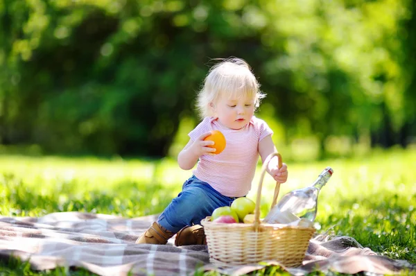 Niño pequeño haciendo un picnic — Foto de Stock