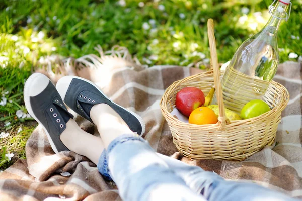 Vårens picknick koncept — Stockfoto