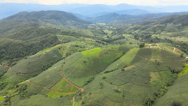 Flygfoto Över Risfält Pong Pieng Mae Chaem Chiang Mai Thailand — Stockfoto