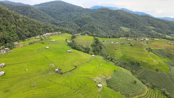 Flygfoto Över Risfält Pong Pieng Mae Chaem Chiang Mai Thailand — Stockfoto