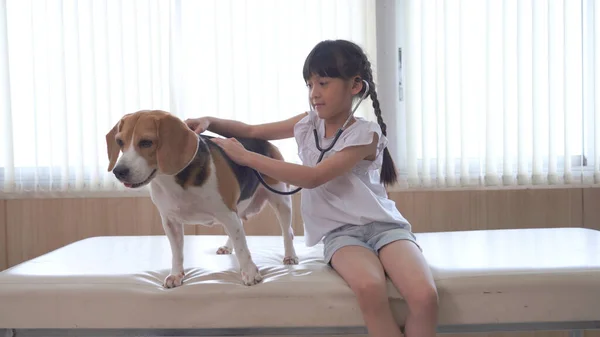 Little Child Girl Playing Doctor Her Small Cute Dog Table — Stock Photo, Image