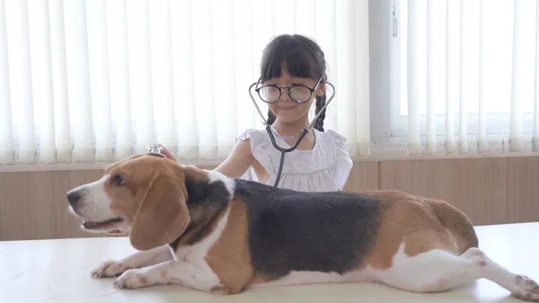 Veteriner Kliniği Nde Küçük Sevimli Köpeğiyle Doktorculuk Oynayan Küçük Kız — Stok fotoğraf