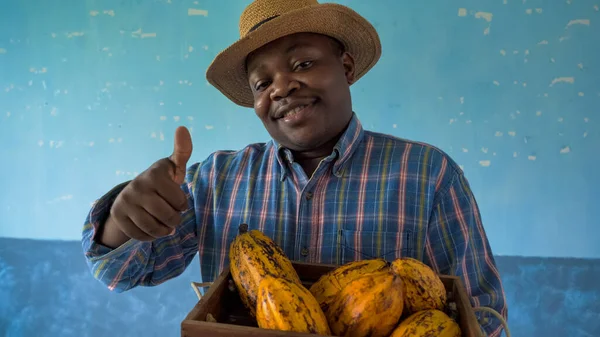 Porträtt Lycklig Afroamerikan Med Låda Färsk Kakao Stockbild