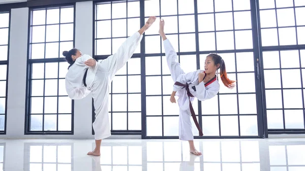 Lehrerin Unterrichtet Taekwondo Mädchen Koreanische Kampfkunst Stockfoto