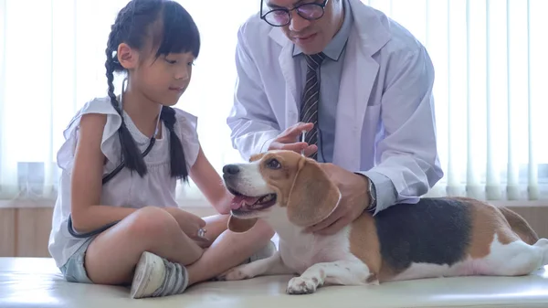 小女孩和她可爱的小狗在餐桌上玩耍医生兽医诊所的检查狗 免版税图库图片