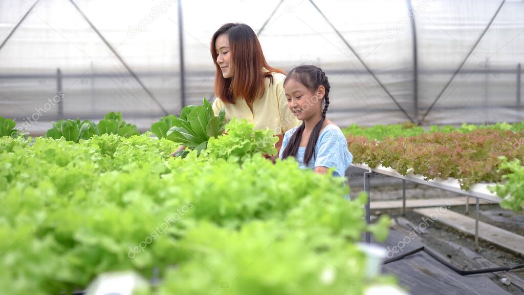 Mother With Daughter Harvesting Organic vegetable On Farm