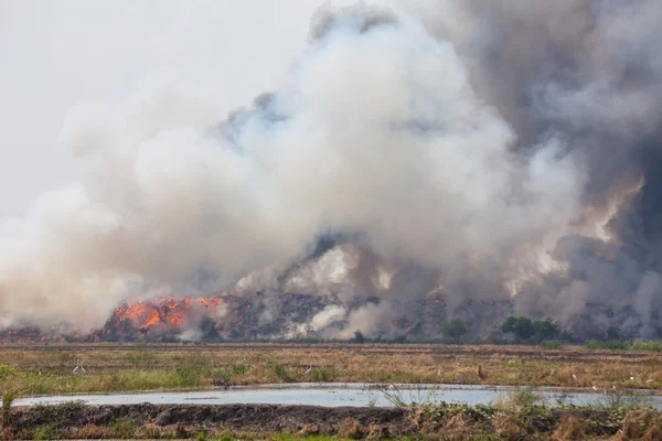 Brandende hoop vuilnis van rook — Stockfoto