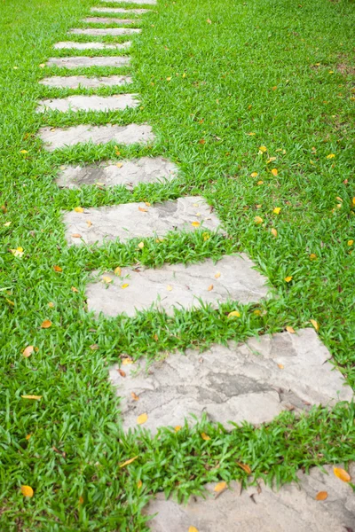 The Stone block walk path — Stock Photo, Image