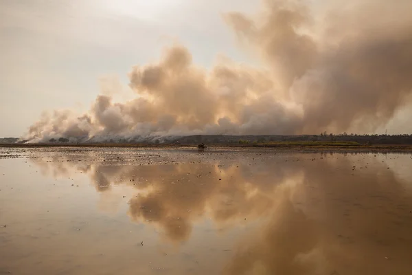 Lixo queimando monte de fumaça — Fotografia de Stock